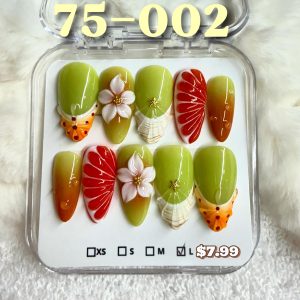 75-002 set